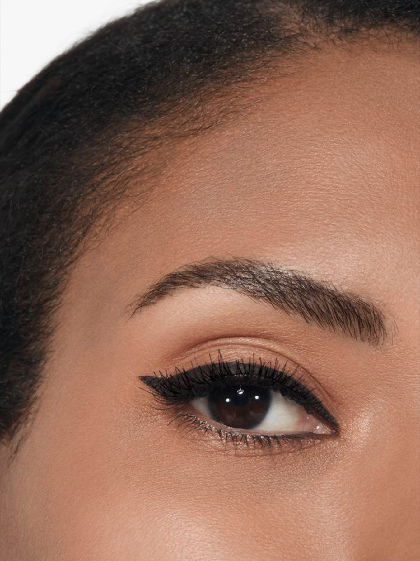 LE LINER DE CHANEL High Precision Longwear and Waterproof Liquid Eyeliner