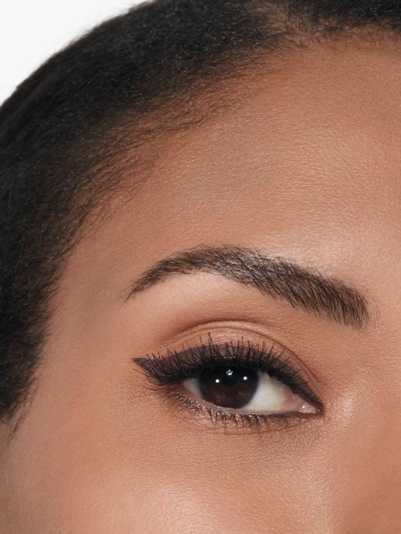 LE LINER DE CHANEL High Precision Longwear and Waterproof Liquid Eyeliner