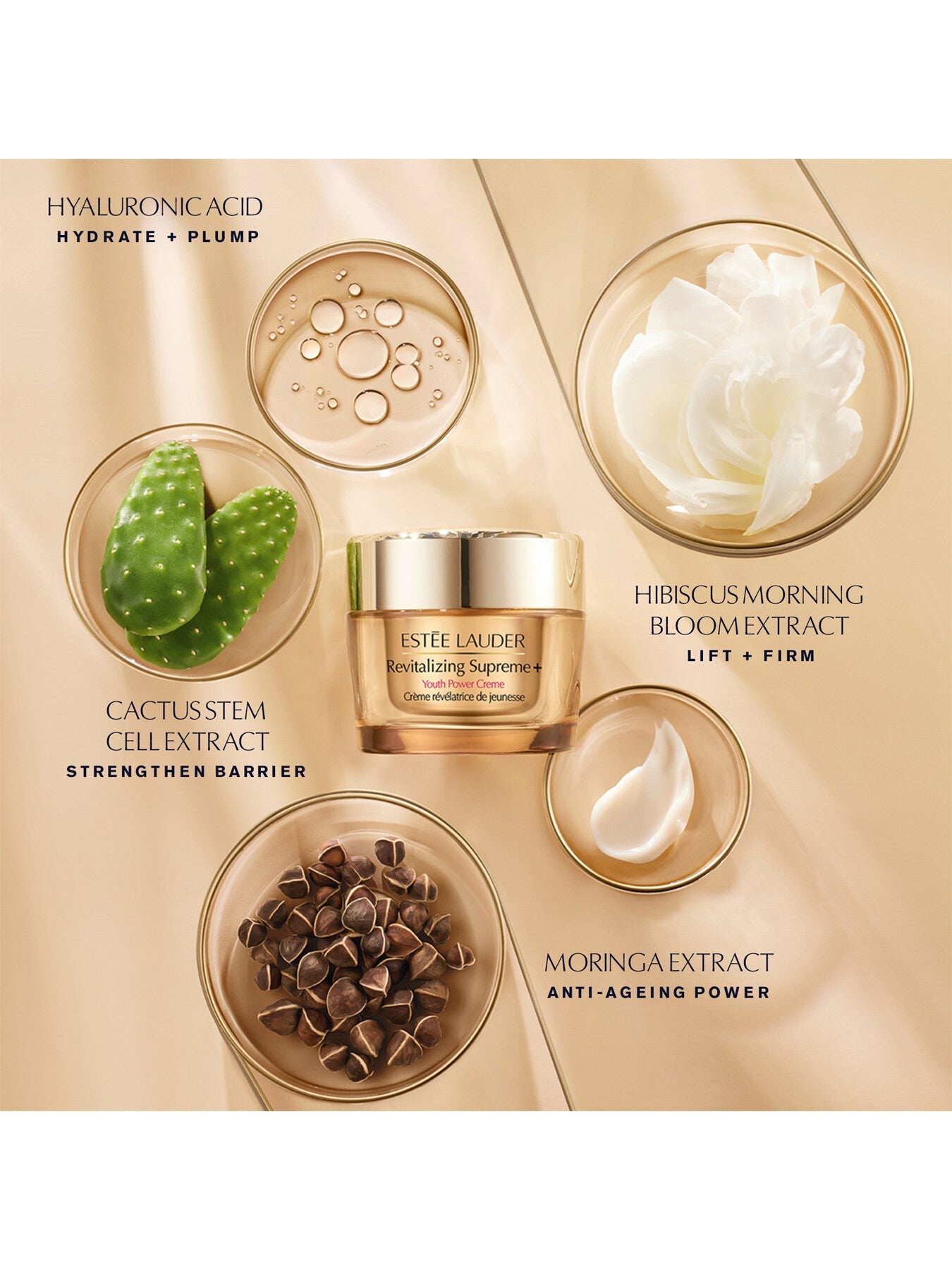 Revitalizing Supreme Youth Power Creme 50ml Refill