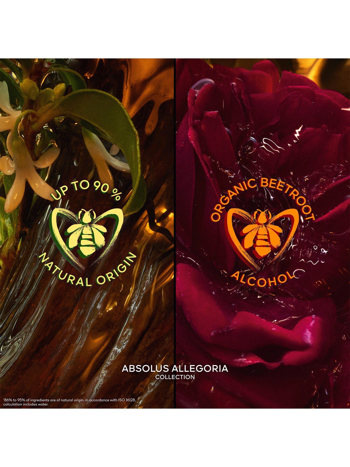 Absolus Allegoria Patchouli Ardent Eau de Parfum 125ml