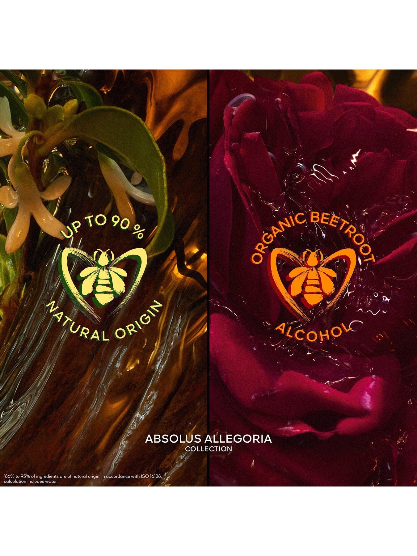 Absolus Allegoria Epices Exquises Eau de Parfum 125ml