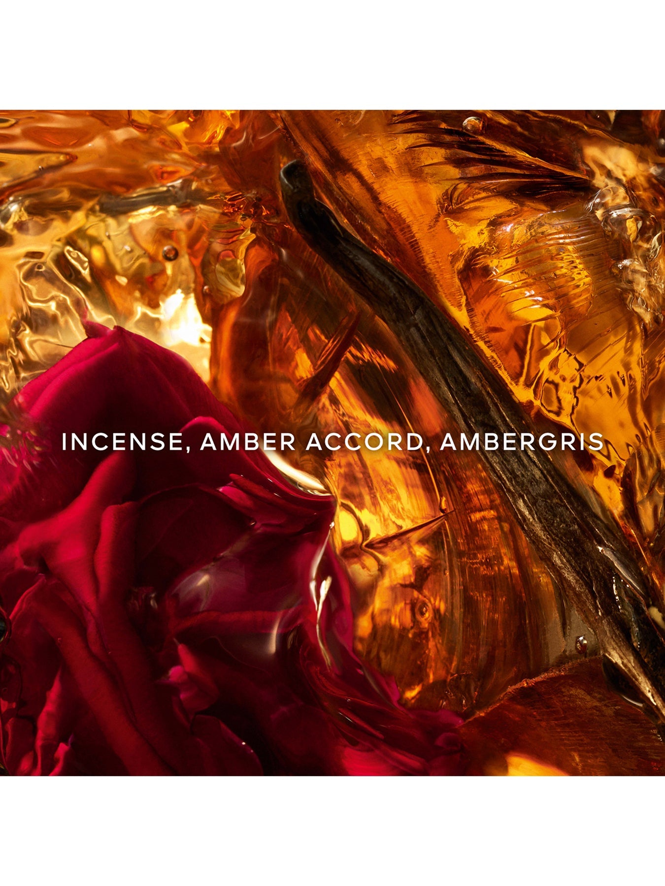 Absolus Allegoria Ambre Samar Eau de Parfum 125ml