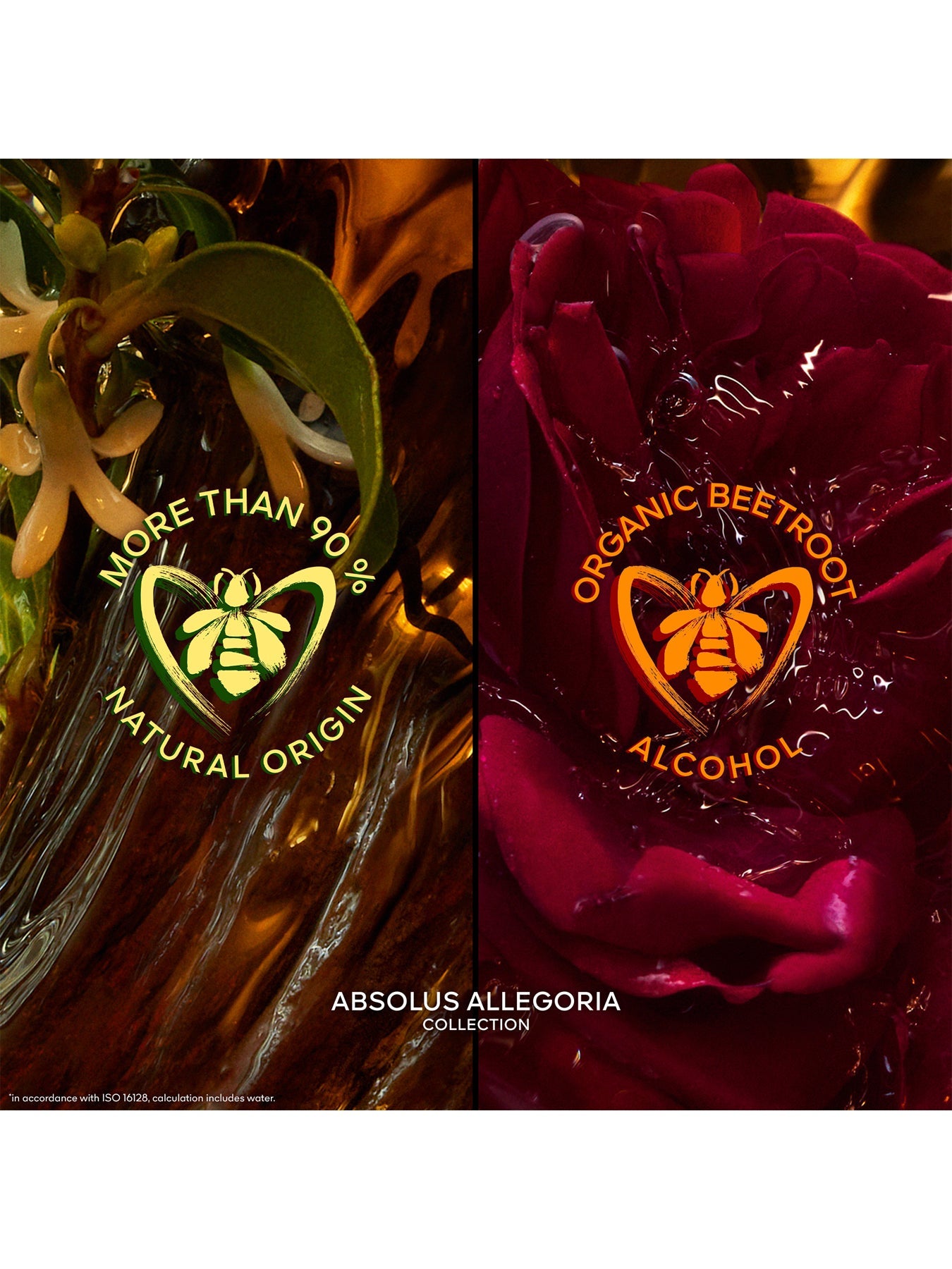 Absolus Allegoria Ambre Samar Eau de Parfum 125ml