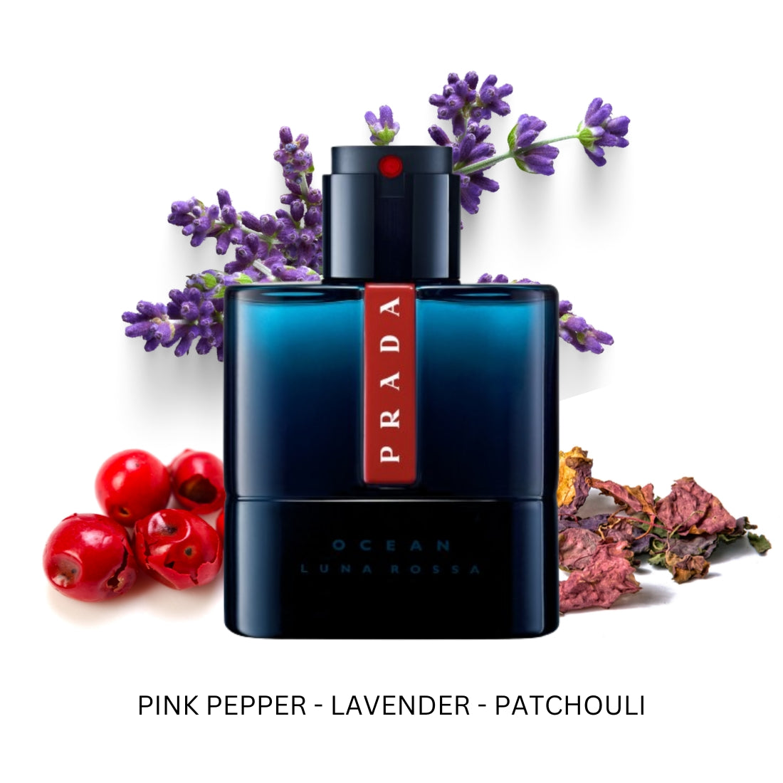 Luna Rossa Ocean for Men By Prada Eau de Toilette 3.4 oz