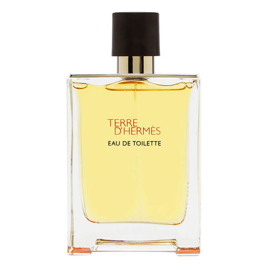 Hermes Terre D'Hermes (Tester) 100ml EDT (M) SP