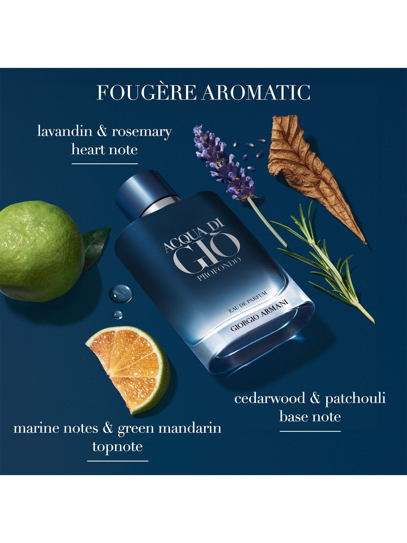 Acqua di Giò Profondo Eau de Parfum 100ml