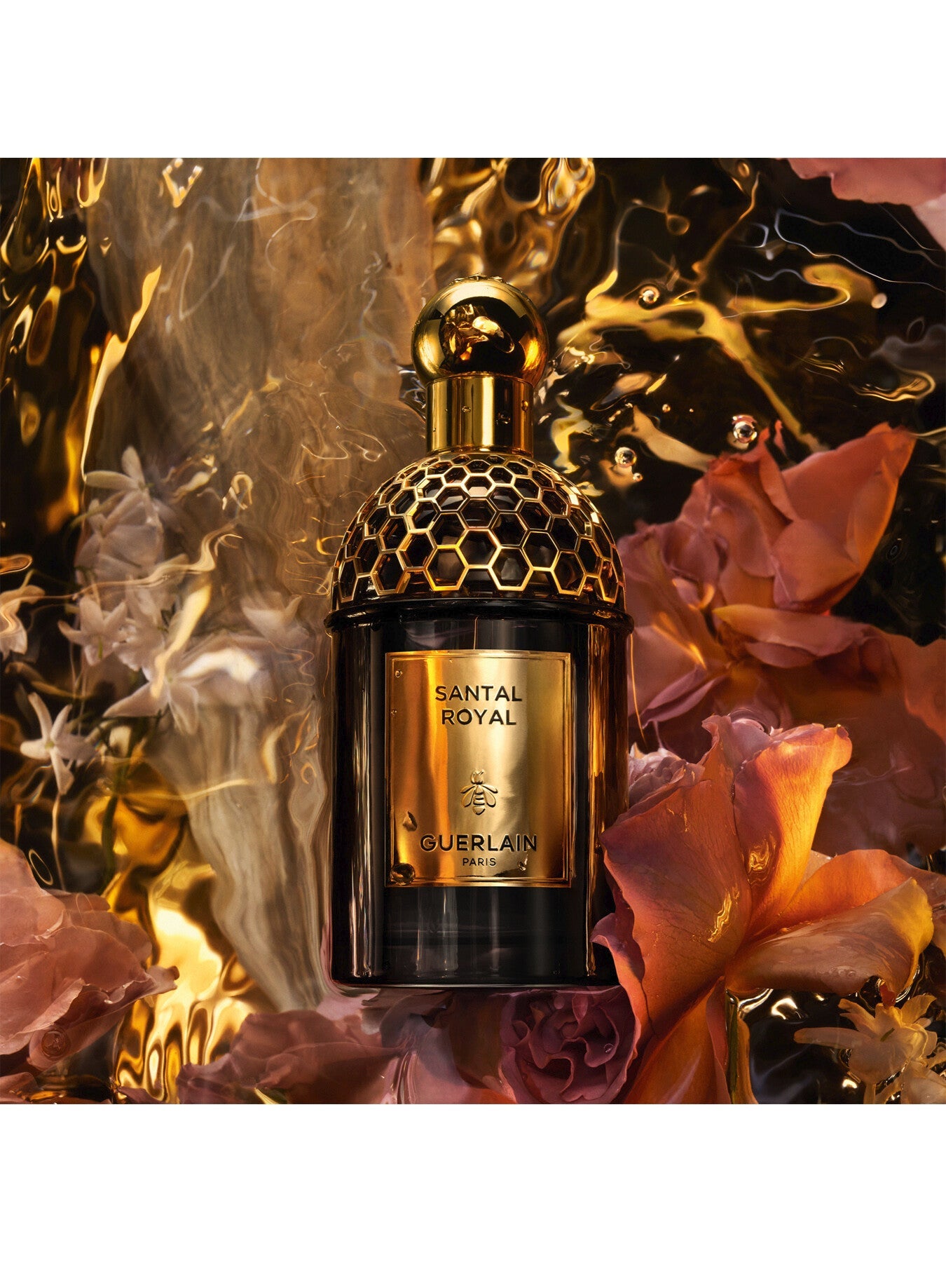 Absolus Allegoria Santal Royal Eau de Parfum 125ml