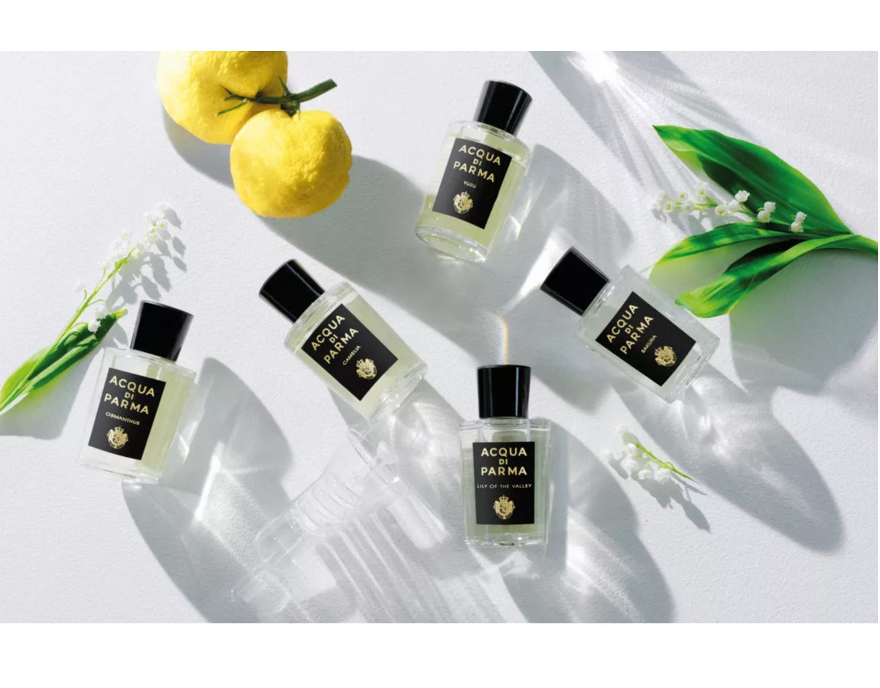 Acqua Di Parma  Lily Of The Valley EDP 100 ml