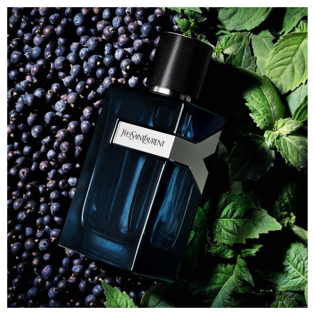 YSL Y Eau De Parfum Intense for Men